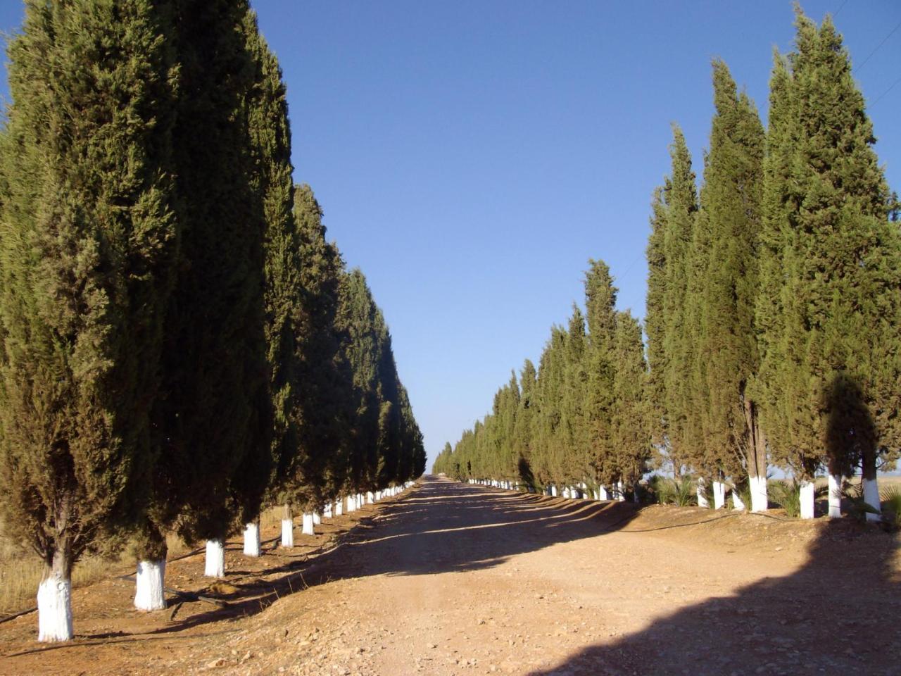 Cortijo Ferradores Humilladero Buitenkant foto