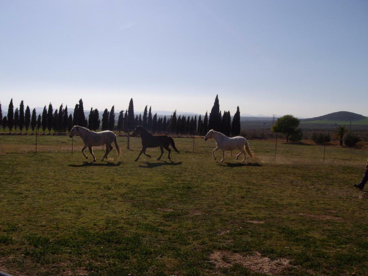 Cortijo Ferradores Humilladero Buitenkant foto