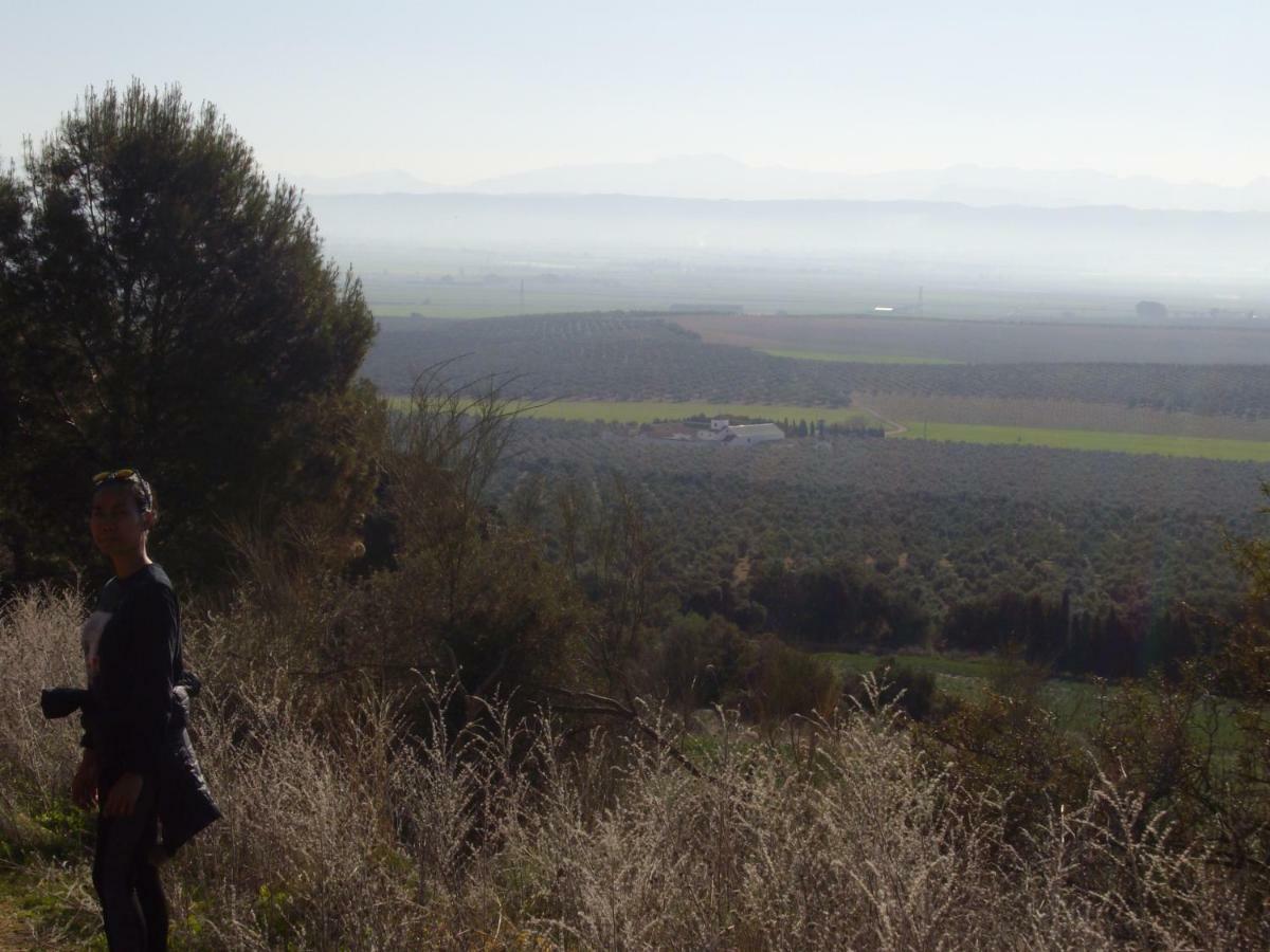 Cortijo Ferradores Humilladero Buitenkant foto
