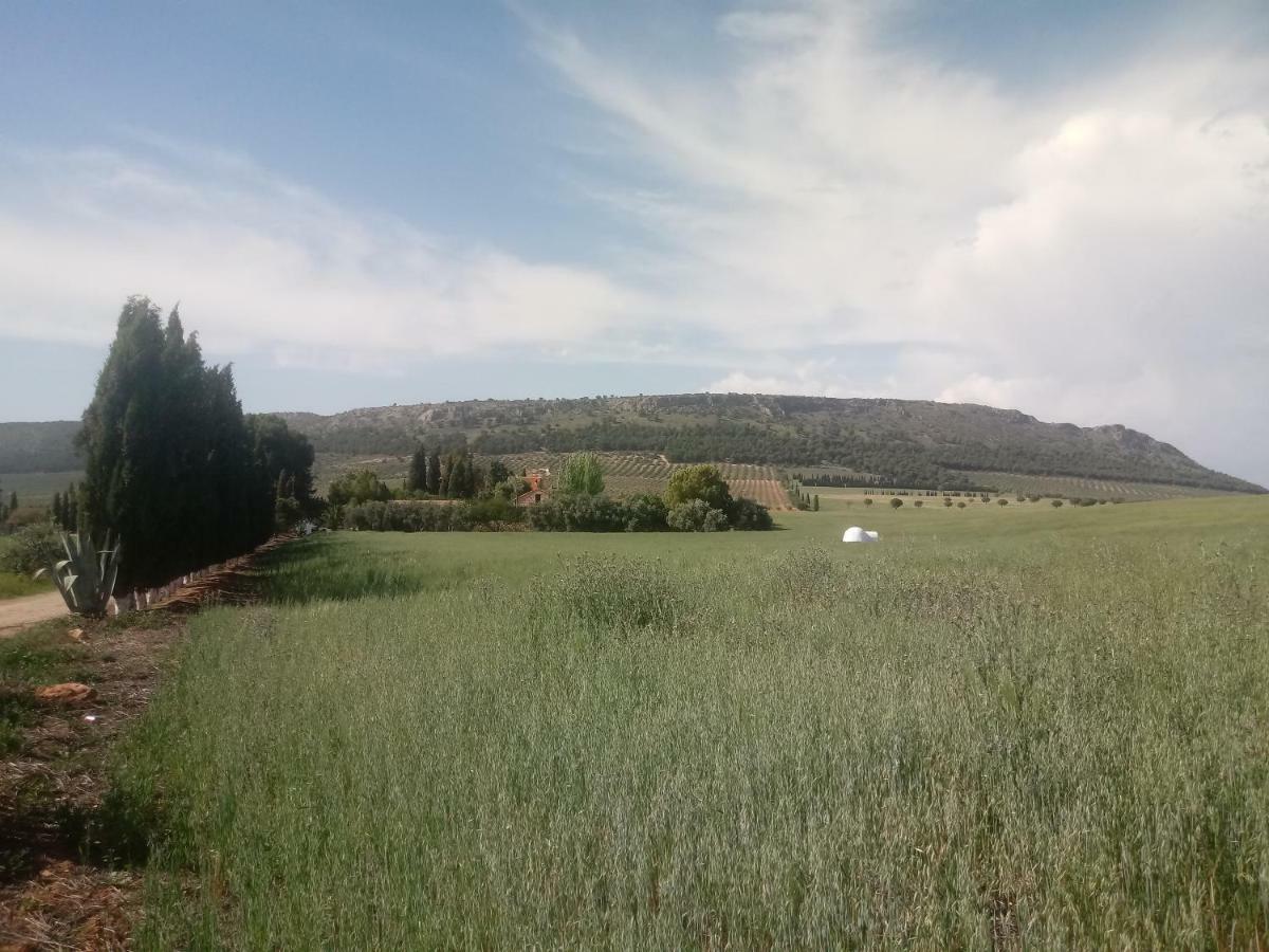 Cortijo Ferradores Humilladero Buitenkant foto