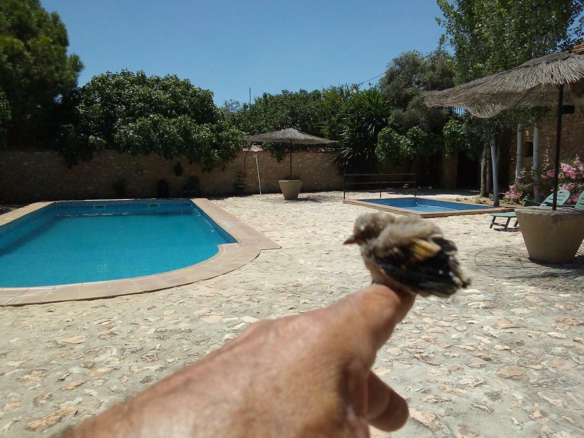 Cortijo Ferradores Humilladero Buitenkant foto
